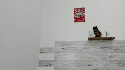 Jaycreedd online show from November 2025 03:22:01 PM