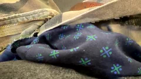 jbigblue online show from September 2025 03:28:02 PM