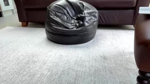 Sensual Jeeves online show from February 2025 03:16:01 PM