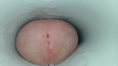 jeffrodgerschaturbat online show from March 2026 05:08:02 AM