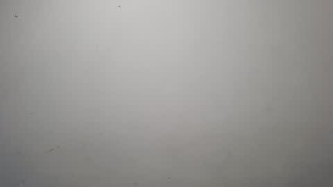 Snapshot of jeisonhoz chatting on October 2025 01:49:01 AM jeisonfit online show from October 2025 01:49:01 AM