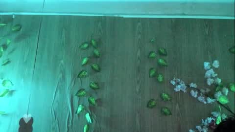 Snapshot of jenelotizz06 chatting on September 2025 06:24:01 PM Jenelotizz online show from September 2025 06:24:01 PM