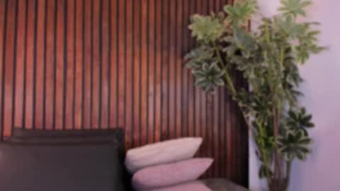     online show from November 2025 12:17:01 PM