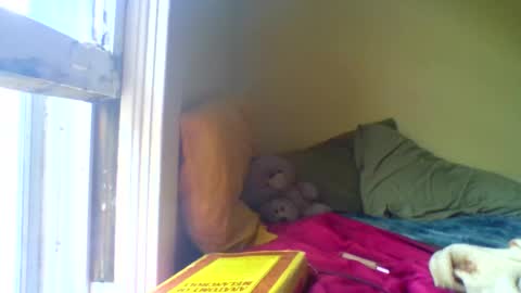 Jenn -  come to my onlyfans online show from April 2026 03:04:02 PM