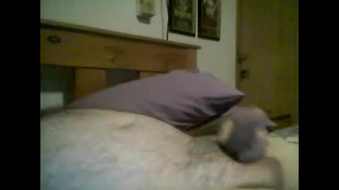 jerkmate6666 online show from October 2025 02:34:02 AM