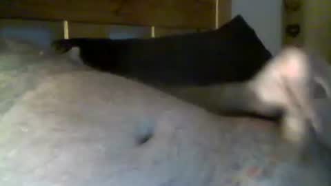 jerkmate6666 online show from May 2026 10:36:02 PM