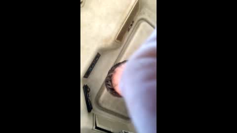 jesaj online show from November 2025 12:50:02 PM