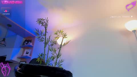  Jessica Pratt  IG jessicaxpratt online show from February 2025 11:11:02 PM