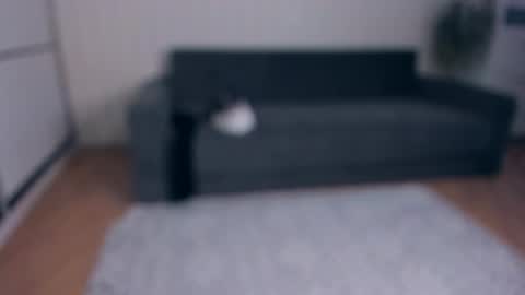 NEW VIDEO IN BIO online show from November 2025 07:52:02 AM