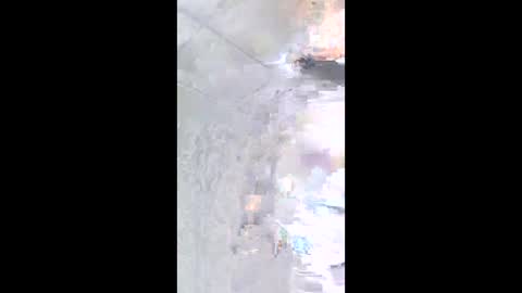 nashbridge1000 online show from March 2026 04:29:04 AM