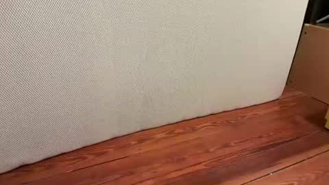 me online show from January 2026 06:39:01 AM