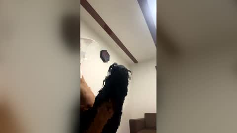 jhannpi online show from April 2026 07:30:01 AM