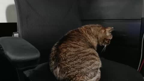 Snapshot of jhnbsomersxh0v1 chatting on March 2026 11:11:02 AM jhnbsomersxh0v1 online show from March 2026 11:11:02 AM