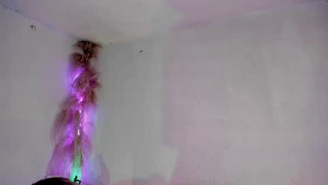 jianilnescoth online show from February 2025 01:01:01 PM