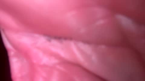 jim2233442211 online show from November 2025 06:12:02 AM