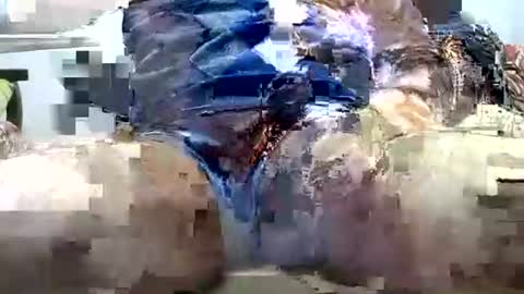 jimii281 online show from March 2026 08:15:01 PM