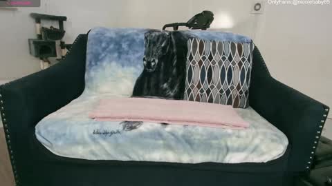 Snapshot of jjjust4fun1985 chatting on January 2025 10:24:02 PM Nicole Allen online show from January 2025 10:24:02 PM