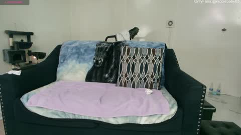 Snapshot of jjjust4fun1985 chatting on January 2025 11:56:01 PM Nicole Allen online show from January 2025 11:56:01 PM