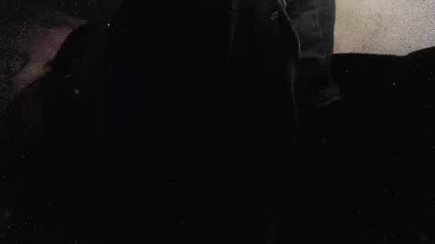 jjohnathan529 online show from January 2025 03:58:01 PM