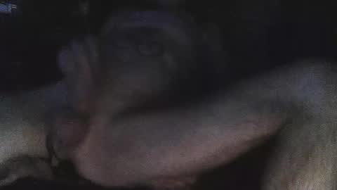 jjohnathan529 online show from February 2025 07:11:02 AM