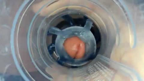 J online show from December 2025 05:43:02 PM