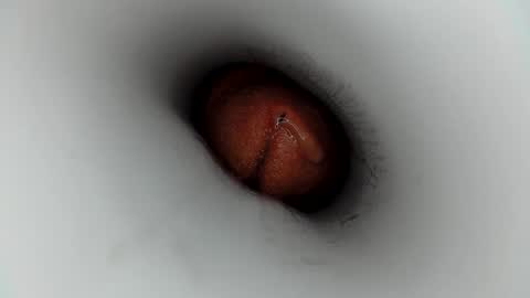 J online show from January 2026 07:12:01 AM