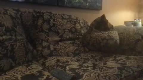 Snapshot of jlk7777 chatting on February 2025 05:04:01 PM jlk7777 online show from February 2025 05:04:01 PM