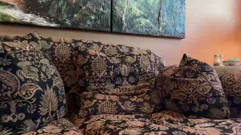 jlk7777 online show from April 2026 03:15:02 PM