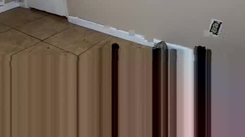 Snapshot of jocmyv9wokry chatting on January 2026 02:47:02 AM jocmyv9wokry online show from January 2026 02:47:02 AM