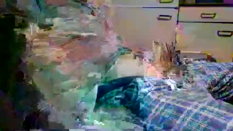 johnyboy34 online show from January 2026 06:40:01 AM