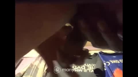 johnnyshung1 online show from December 2024 07:47:01 AM