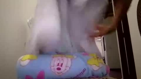 josepheape online show from April 2026 08:50:02 PM