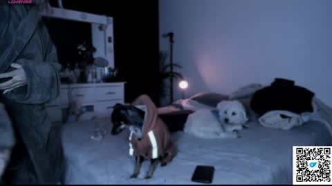 josephine   independent model    online show from January 2025 05:49:01 AM