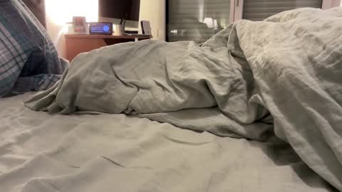 jpr07 online show from November 2025 05:50:02 AM