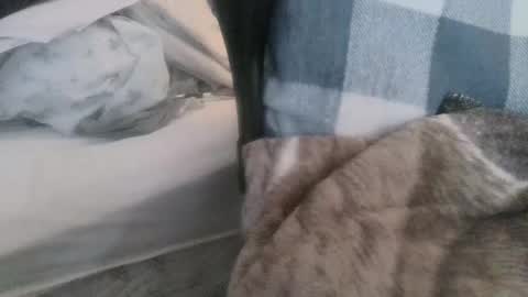 Join My Fan Club To Get To Know Me Better online show from March 2025 04:11:01 PM