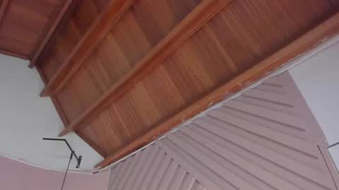 Juana online show from April 2026 11:15:02 AM