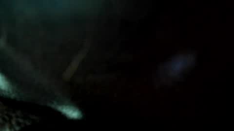 Juan Manuel online show from May 2026 10:53:02 AM
