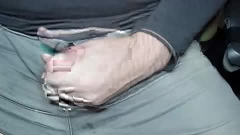 Jrgen Schnfeld online show from December 2024 06:40:01 AM