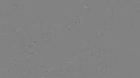 Jrgen Schnfeld online show from November 2025 10:48:01 AM