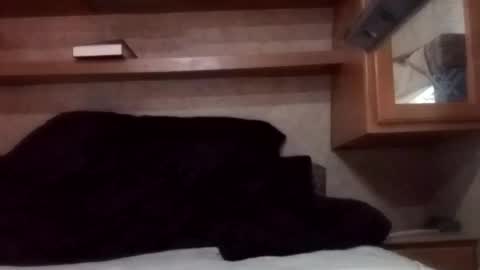 Juish5521 online show from March 2025 12:26:02 AM