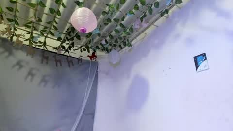 camila online show from April 2026 03:09:02 AM