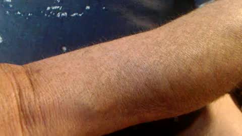 Werner online show from February 2025 04:53:02 PM