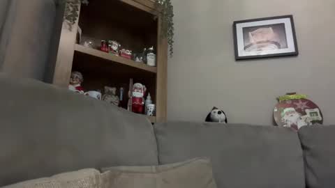 Junky online show from December 2024 07:21:02 PM