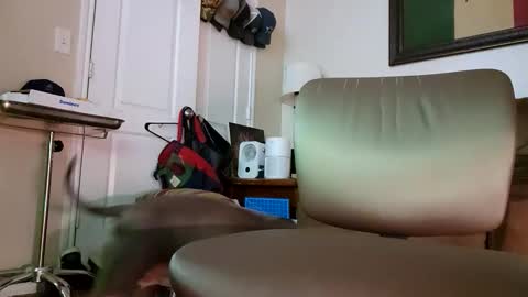 just4fun1523 online show from January 2026 02:14:01 AM