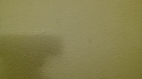 Just marlon online show from March 2025 08:21:02 PM