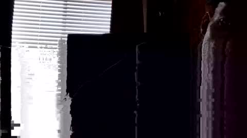 Snapshot of justforfun031 chatting on April 2026 12:55:02 AM justforfun031 online show from April 2026 12:55:02 AM