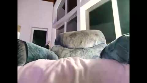 Gil indpendant model exhibitionnist online show from January 2025 01:53:01 AM