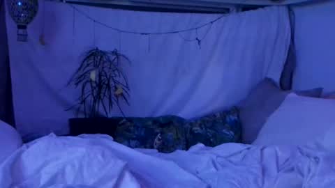 jwolf11851725 online show from October 2025 10:06:01 AM