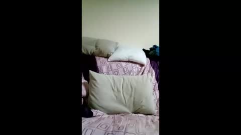 Snapshot of kactuses chatting on December 2025 06:15:01 PM kactuses online show from December 2025 06:15:01 PM