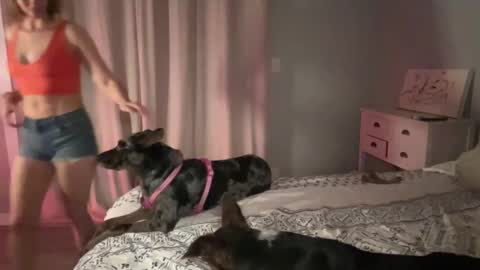 Kailee Smile online show from February 2025 04:54:02 AM